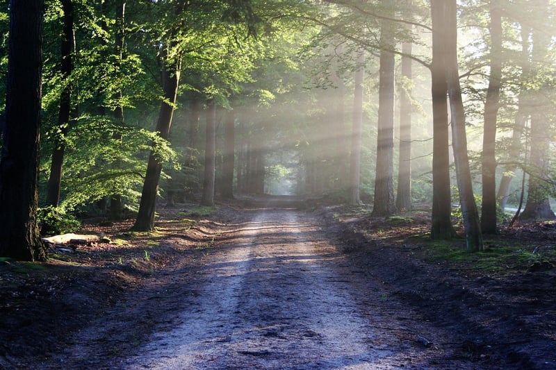 Journey of Endless Possibilities
